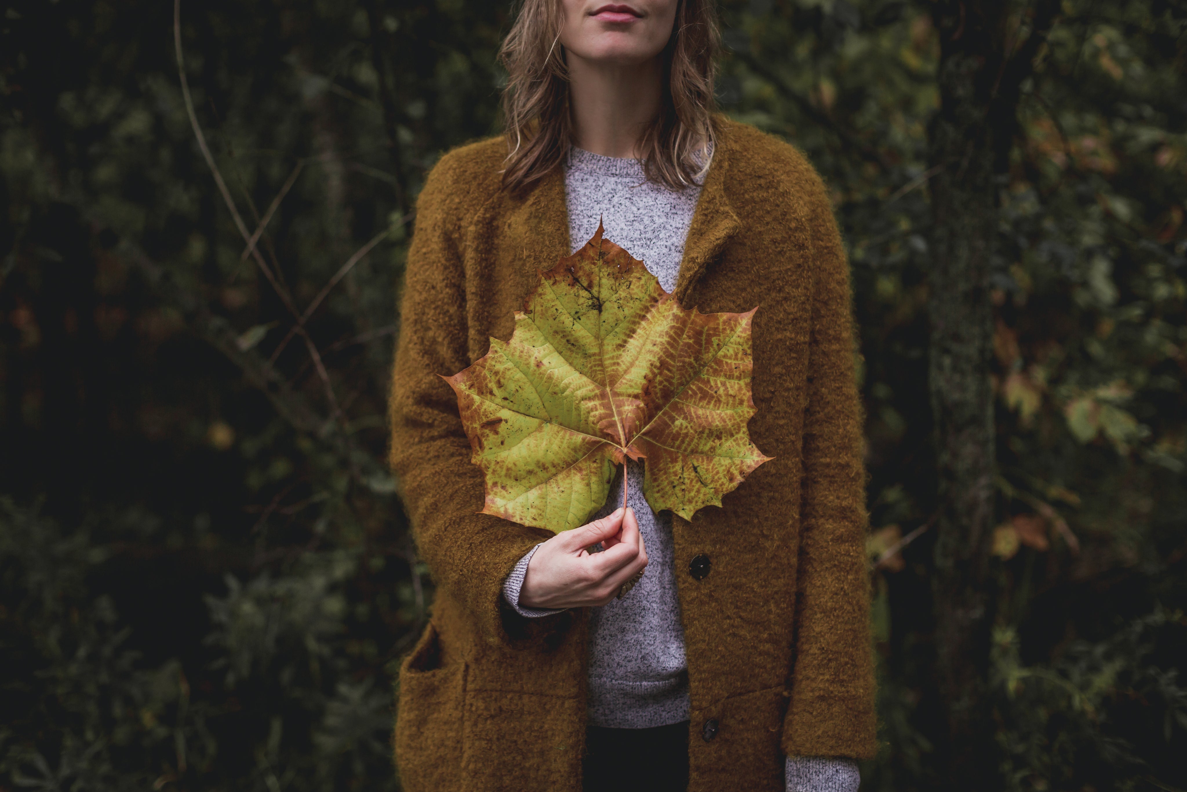 files/large-fall-leaf-in-hand.jpg